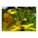 "Yellow on Yellow" Card by ChelseaKerwath "Yellow on Yellow" Card
