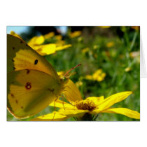 "Yellow on Yellow" Card