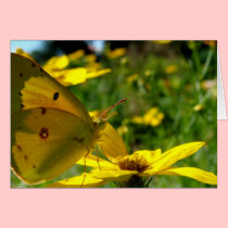 "Yellow on Yellow" Card