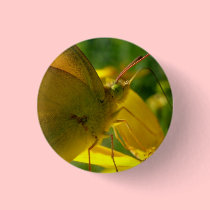 "Yellow on Yellow" Eco Pin buttons