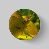 "Yellow on Yellow" Eco Pin buttons