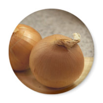 Yellow Onions Vegetables magnets
