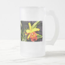 Yellow & Orange Cattleya Orchid in Hothouse Coffee Mugs