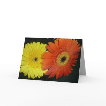 Yellow & Orange Gerber daisy Greeting Cards