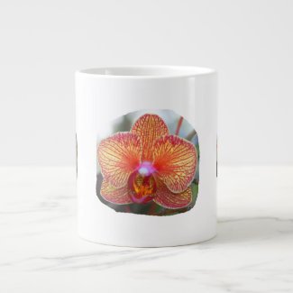Yellow Orange Orchid Flower Picture specialtymug