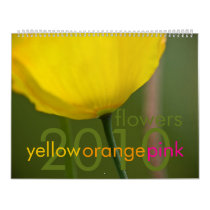 Yellow Orange Pink Flowers 2010 Calendar
