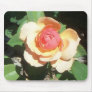 Yellow orange rose mouse pads