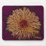Yellow Orange Wildflower Mouse Pads