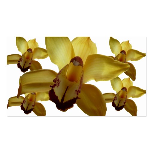 yellow orchid business card templates (back side)