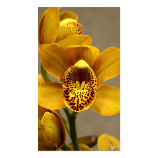 Yellow Orchid business cards