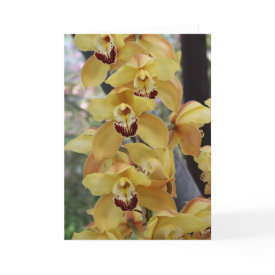 Yellow orchid mother's day card