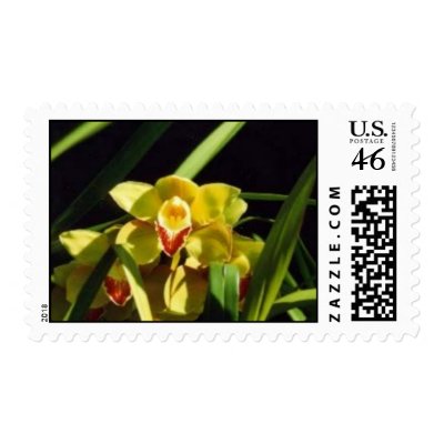 Yellow Orchid (Cymbidium) Postage by jhardash