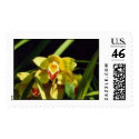 Yellow Orchid (Cymbidium) postage by jhardash Yellow Orchid (Cymbidium) postage
