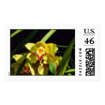 Yellow Orchid (Cymbidium) postage