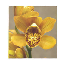 Yellow Orchid Flower Memo Note Pads