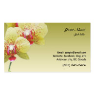 yellow orchid flowers business cards
