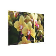 Yellow orchid flowers gallery wrap canvas