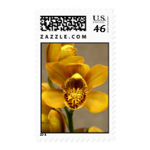 Yellow Orchid postage