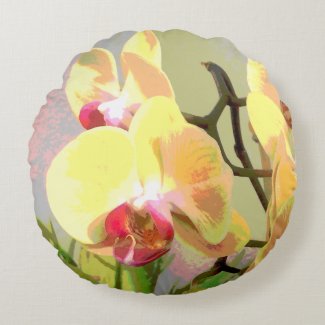 Yellow Orchids in the afternoon sun Round Pillow