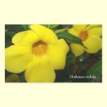 Yellow orchids stickers stickers