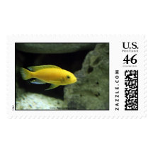 Yellow Oscar Postage