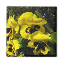 Yellow Pansies Magnet