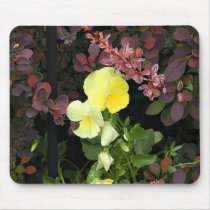 yellow pansies mousepads by deemac1 yellow pansies mousepads