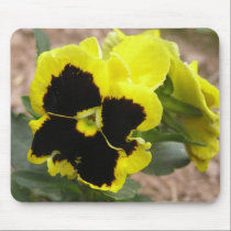 Yellow Pansy  Mouse Pad mousepads