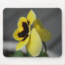 Yellow pansy mousepads