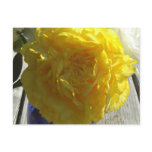 yellow, peonies, peony, flower, floral