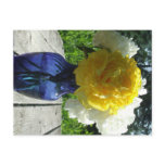 yellow, peony, flower, blue, vase, floral, peonies