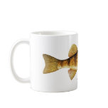 Yellow Perch Fish Coffee Mug mugs by chartingnature Yellow Perch Fish Coffee Mug mugs