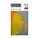 yellow petal postage