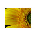 Yellow Petals posters by bnilesh Yellow Petals posters