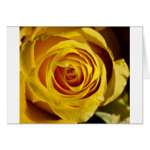 Yellow pink cards