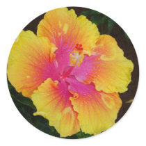 Yellow & Pink Hibiscus stickers