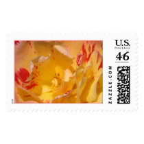 Yellow & Pink Rose 2 postage
