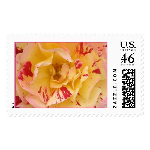 Yellow & Pink Rose Stamp 1