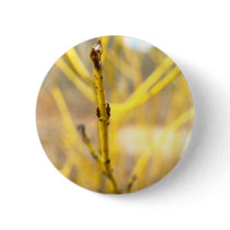 Yellow Plant Focus Pinback Buttons