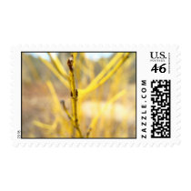 Yellow Plant Focus Postage Stamp