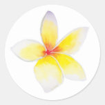 Yellow Plumeria Sticker stickers