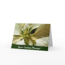 Yellow Poinsettias 1 cards