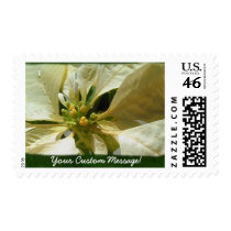 Yellow Poinsettias 1 stamps