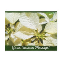 Yellow Poinsettias 2 postcards