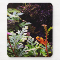 Yellow Poison Dart Frog mousepads