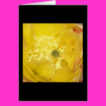 Yellow Pollen Explosion Card by magentaraven Yellow Pollen Explosion Card
