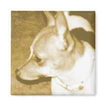 Yellow Pop Art Chihuahua Magnet by RLMdesignes Yellow Pop Art Chihuahua Magnet