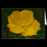 Yellow Poppy Card