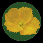 Yellow Poppy Sticker