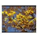 Yellow posters by Bugmaster Yellow posters